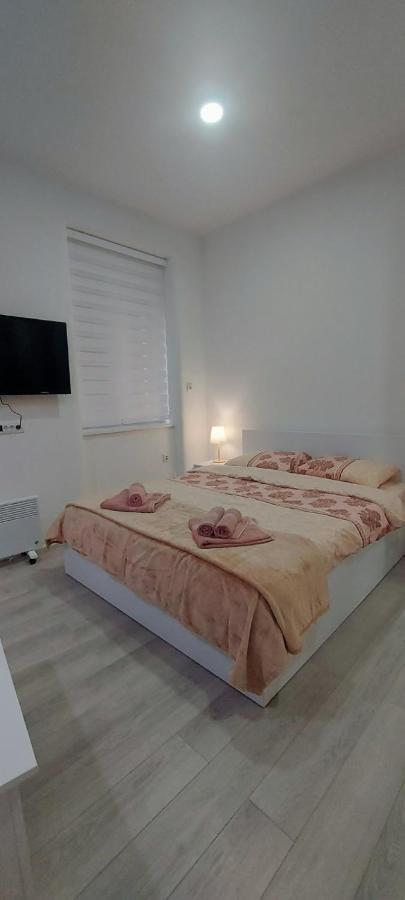 Zeleni Venac Studio & Apartment بلغراد المظهر الخارجي الصورة