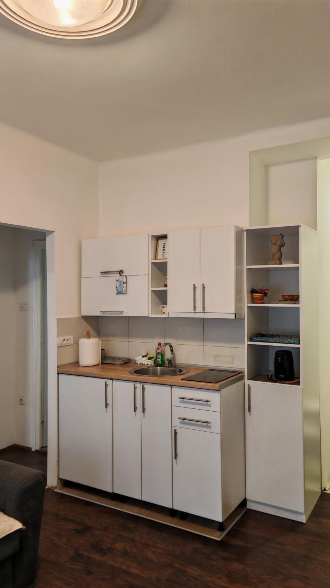 Zeleni Venac Studio & Apartment بلغراد المظهر الخارجي الصورة